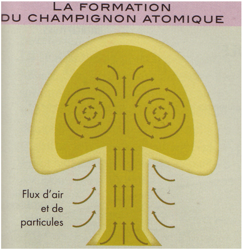 champignon-atomique.jpg